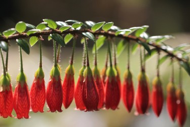广州海珠区9私人快速借钱网，轻松解决资金难题