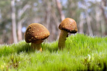 广州海珠区9私人老板放款：轻松融资的秘密通道